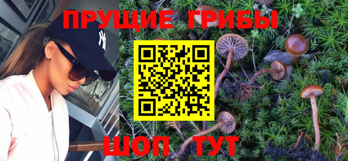 Псилоцибиновые грибы мухоморы Казань