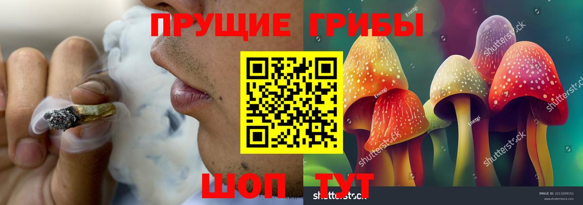 как найти закладки  Вход с VPN  Казань  Псилоцибиновые грибы мицелий 